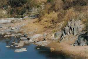https://commons.wikimedia.org/wiki/File:Serengeti_Orangi_Kilimafedha_greenstone.jpg